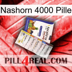 Rhino 4000 Pill 11
